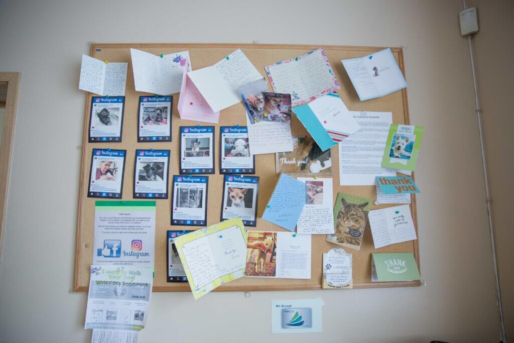 Pet Parent Reviews - Emerald City Emergency Clinic